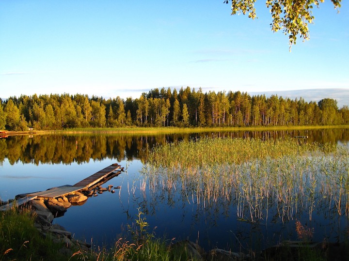 Svedska